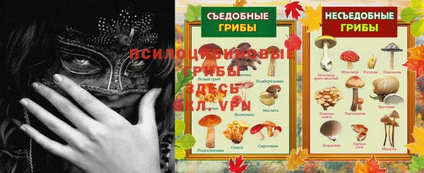 стаф Балабаново