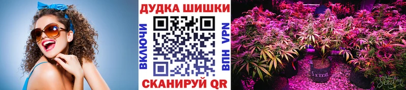 Канабис план Радужный